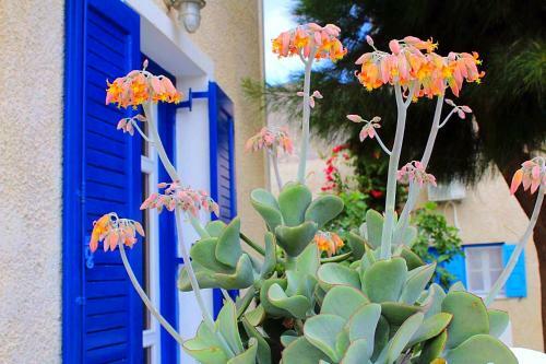 Hotel The Greek Islands