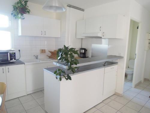 Apartamentos Colombet Stay's - Rue Pitot