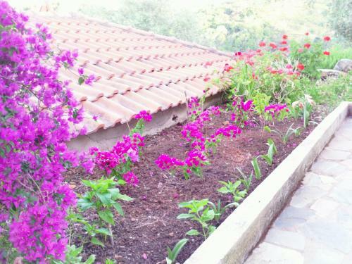 Apartamento Odyssia Near The Seaside