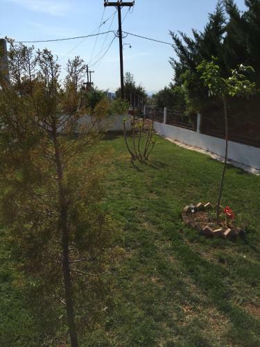 Apartamento Iris Accommodation