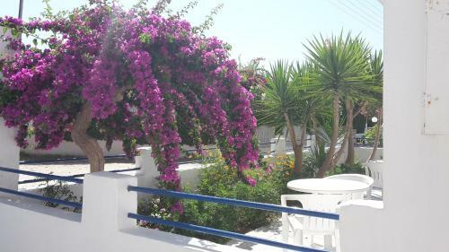 Hostal Pension Piertzovani