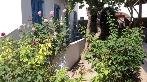 Hostal Pension Piertzovani