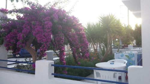 Hostal Pension Piertzovani
