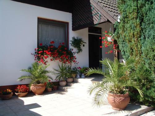 Bed & Breakfast Eifert Panzi�