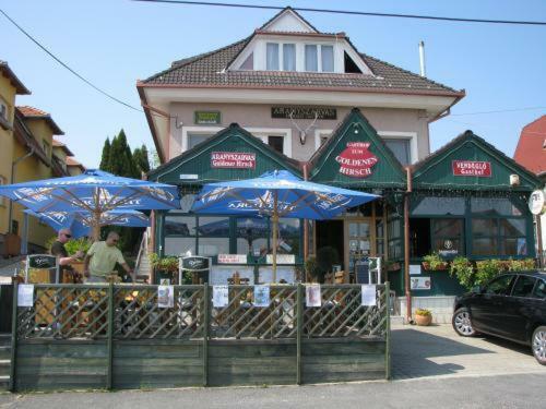 Hostal Aranyszarvas-goldener Hirsch Pension