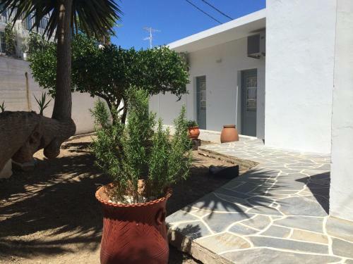 Hostal Margarita Guesthouse