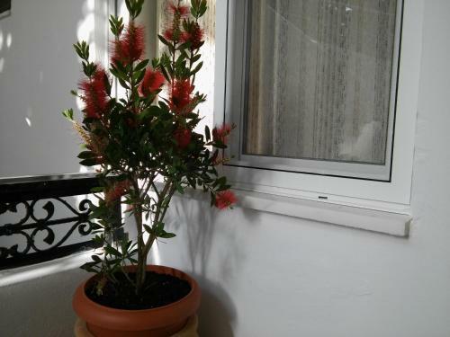 Hotel Haraki Mare Studios & Apartments