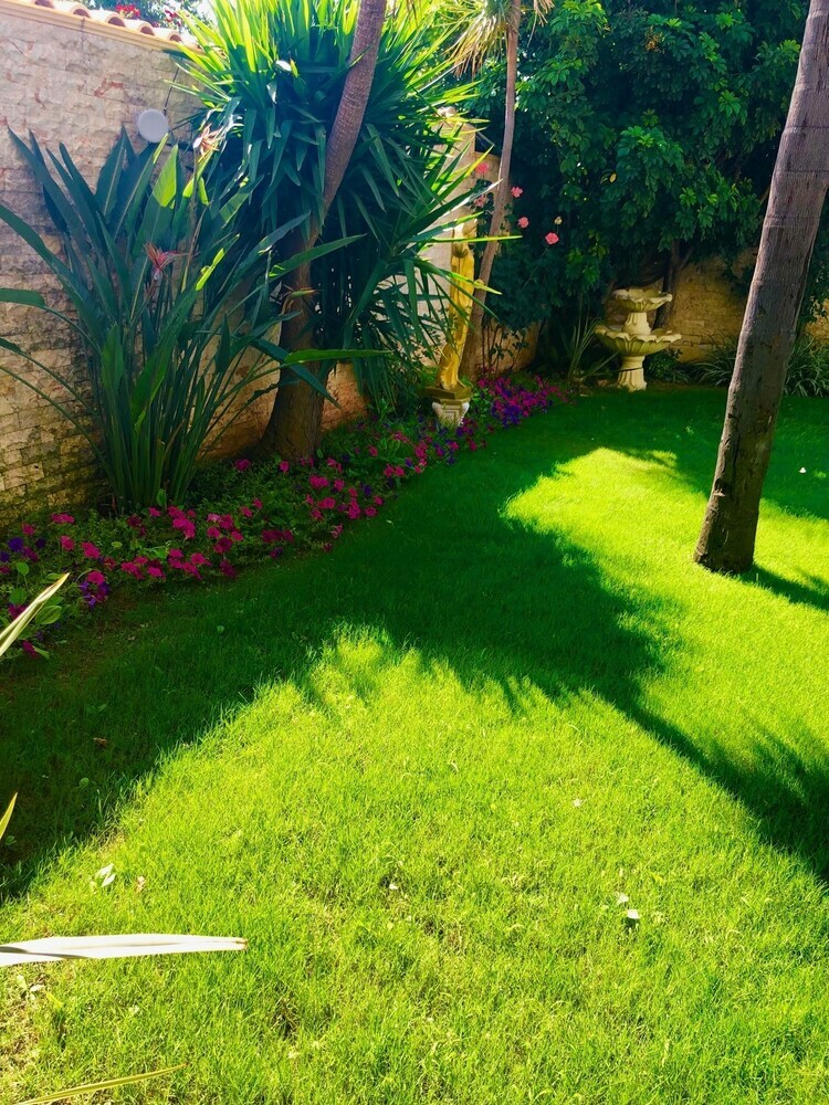 Paradice Hotel Luxury Suites