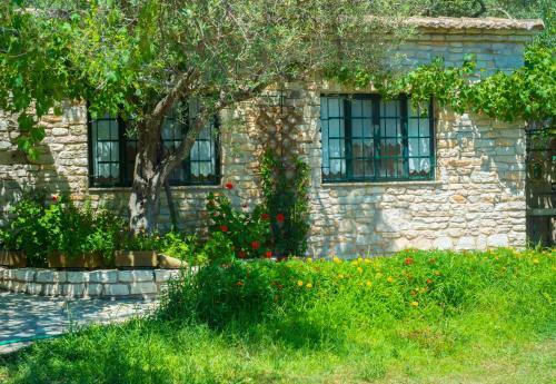 Apartamento Liodentro - Olea