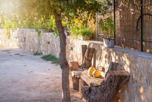 Apartamento Liodentro - Olea