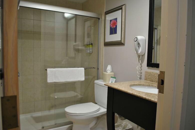Hotel Holiday Inn Express Owego