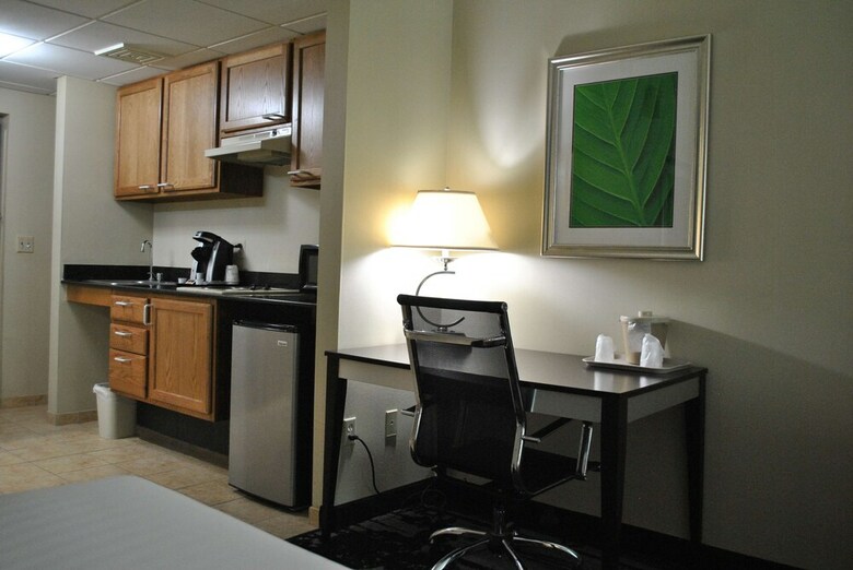 Hotel Holiday Inn Express Owego
