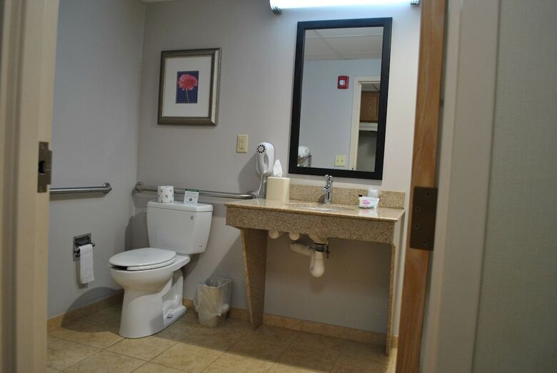 Hotel Holiday Inn Express Owego