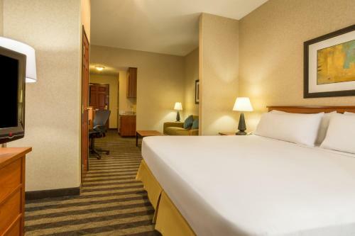 Holiday Inn Express Hotel & Suites Manteca