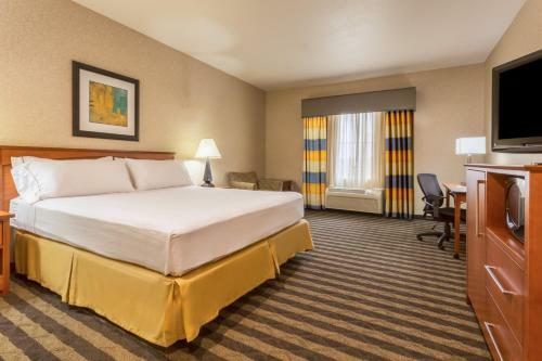 Holiday Inn Express Hotel & Suites Manteca