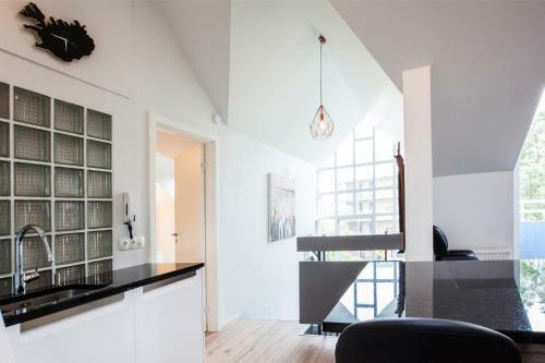 Laugavegur Loft Apartment
