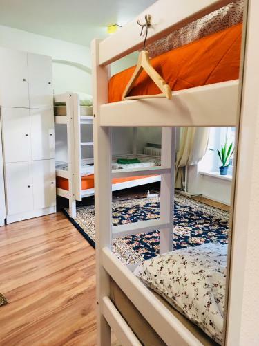 Albergue Tree House