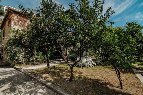 Apartmani Popovi?