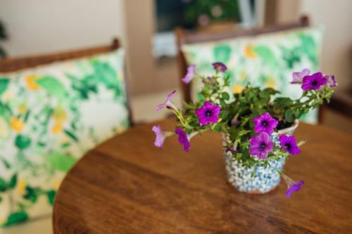 Hostal Guest House Radonjic