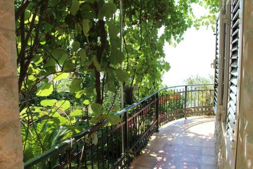 Hostal Guesthouse Villa Tortuga