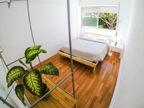 Bed & Breakfast Terrace Beach House