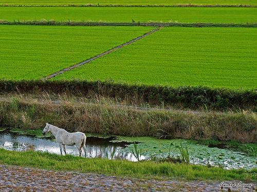 Agroturismo Monte Do Brejinho De �gua