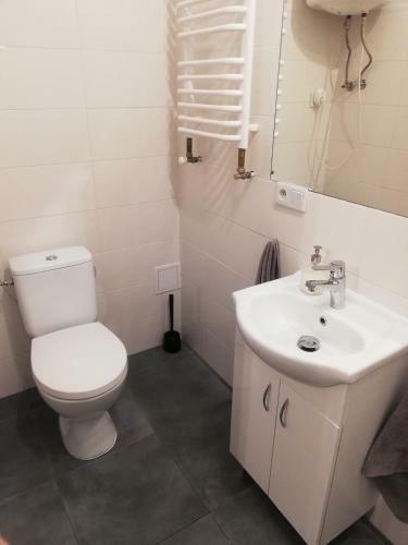 Apartamenty Na??czowskie