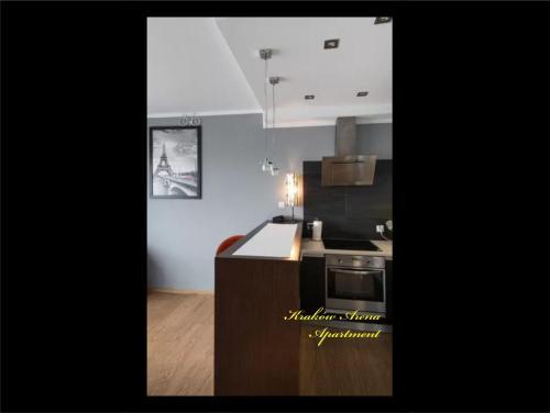 Apartment Krak�w Arena