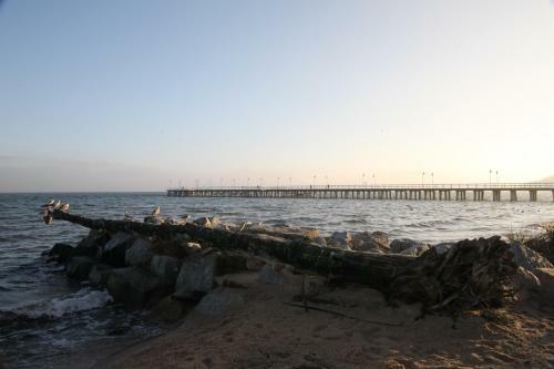 Apartament Nadmorski Sopot V