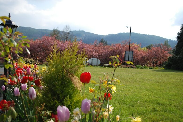 Bed & Breakfast Westlands Of Pitlochry