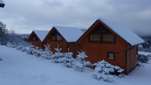 Lodge Ca?oroczne Domki Buena Vista