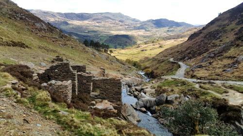 Bod Gwynedd Bed And Breakfast