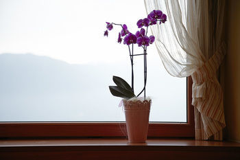 Hotel Paradiso Sul Lago