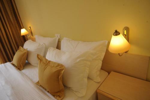 Hotel & Restaurant Valul Magic