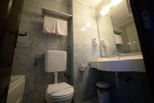 Hotel Dacia Sud