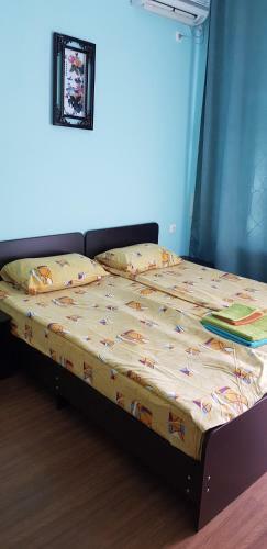 Hotel Pansionat Svetlana