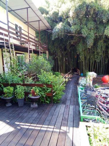 Hostal Bamboo Khutor Guest House