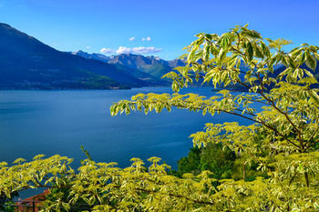 Bed & Breakfast Crotto Di Gittana