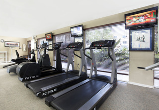 Hotel Holiday Inn Coral Gables - University