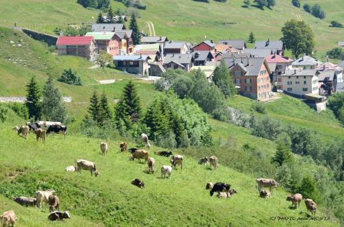 Chalet Stella Alpina - Hotel And Wellness