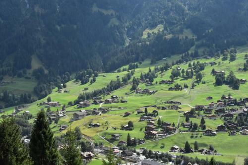 Hotel Du Sauvage Grindelwald