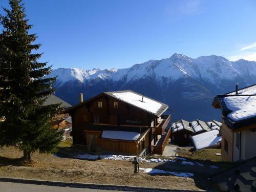 Apartment Weisshorn.4