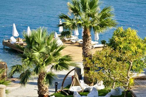 Hotel Kalem Island Oliviera Resort