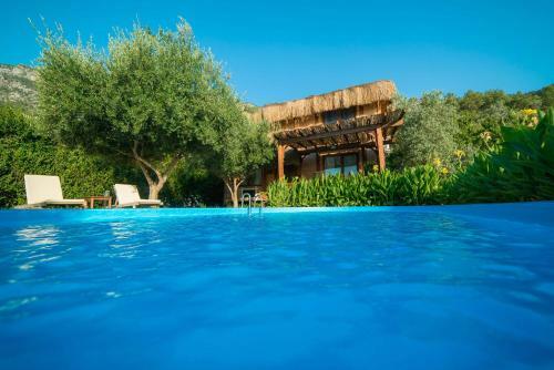 Pure Life Organic Villa