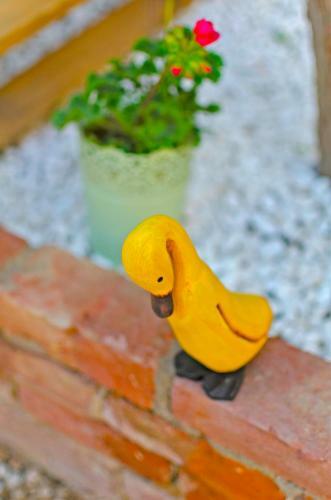 Bed & Breakfast Lilyum Ala�at? - Ta? Ev