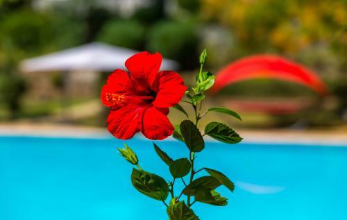 Marmaris Holiday Villas