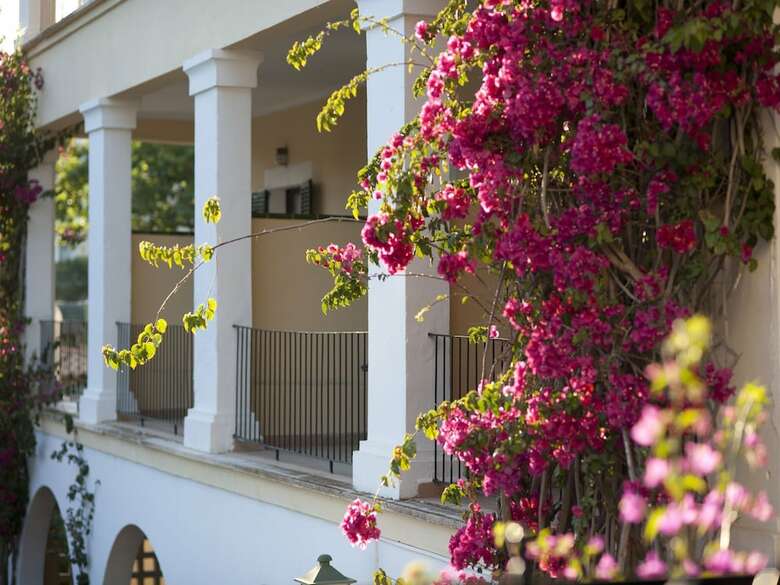 Hotel Bahia