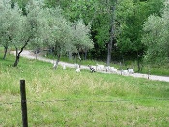Hotel Tenuta La Bandita