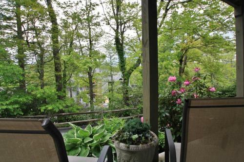 Apartamento Village Green C1