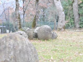 Bed & Breakfast B B Poggio Del Drago
